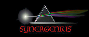 Synergenius - Merging ingenuity with innovative ideas to achieve extraordinary results.